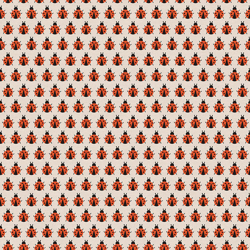 Bugs & Butterflies – Lady Bugs