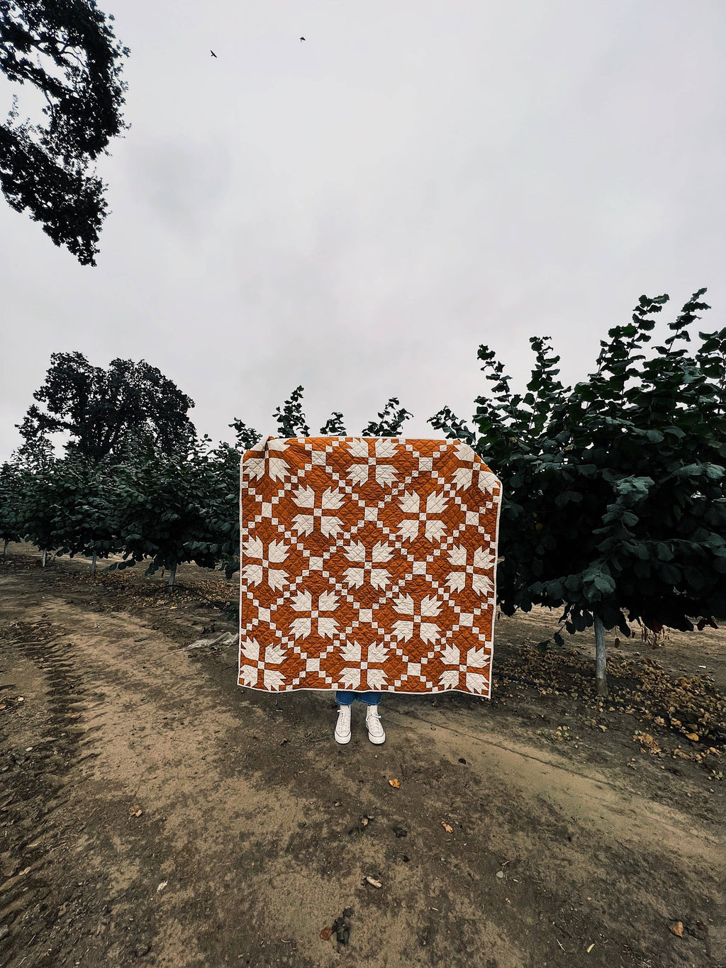 Archie Quilt Pattern (Print)