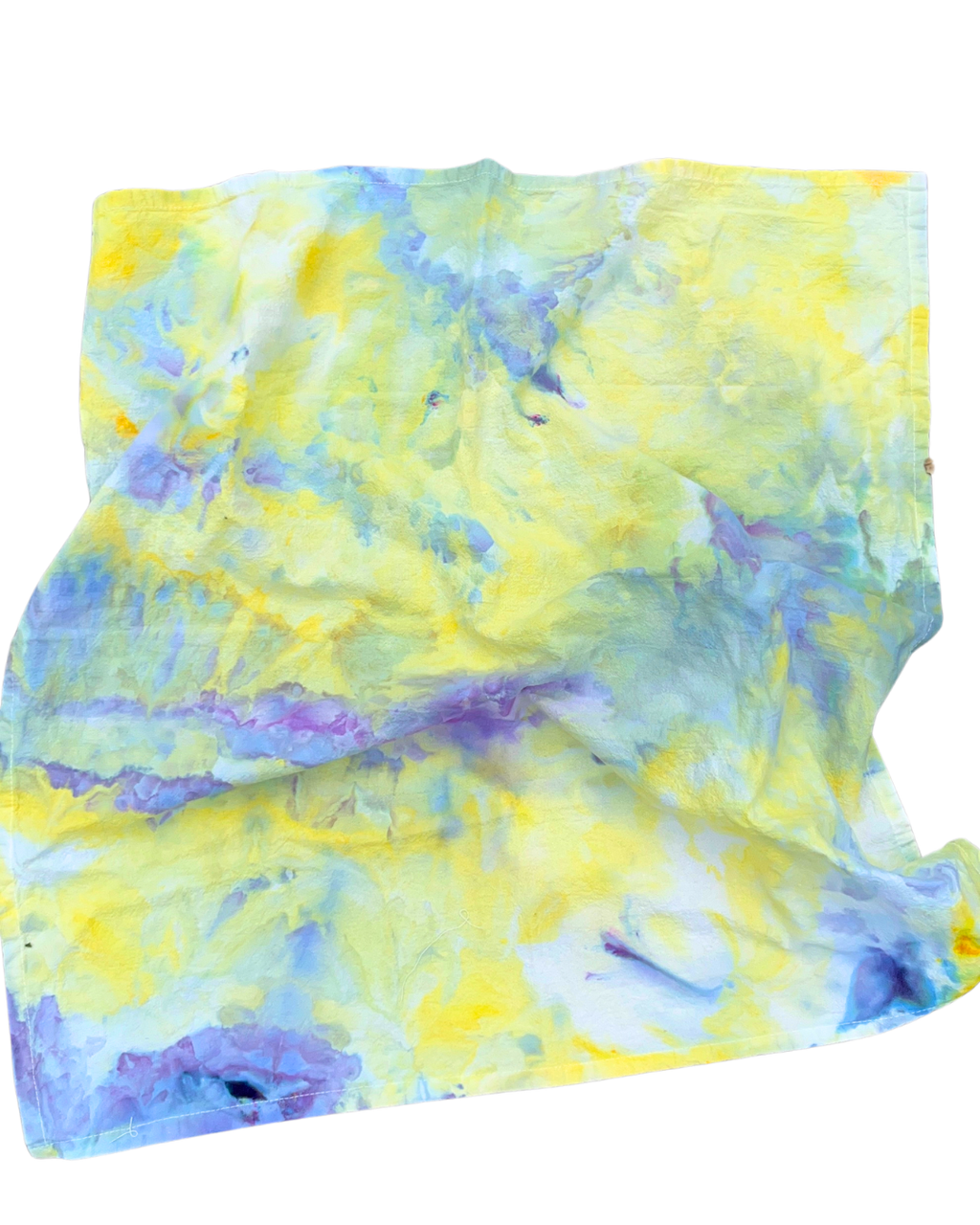 Ice Dye Workshop