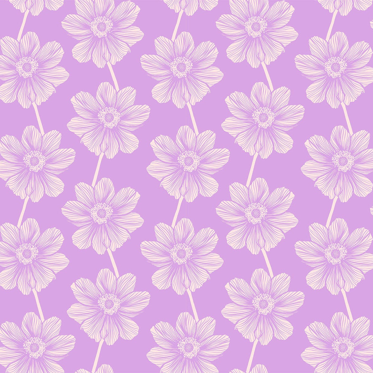 Indelible Anemone in Lilac