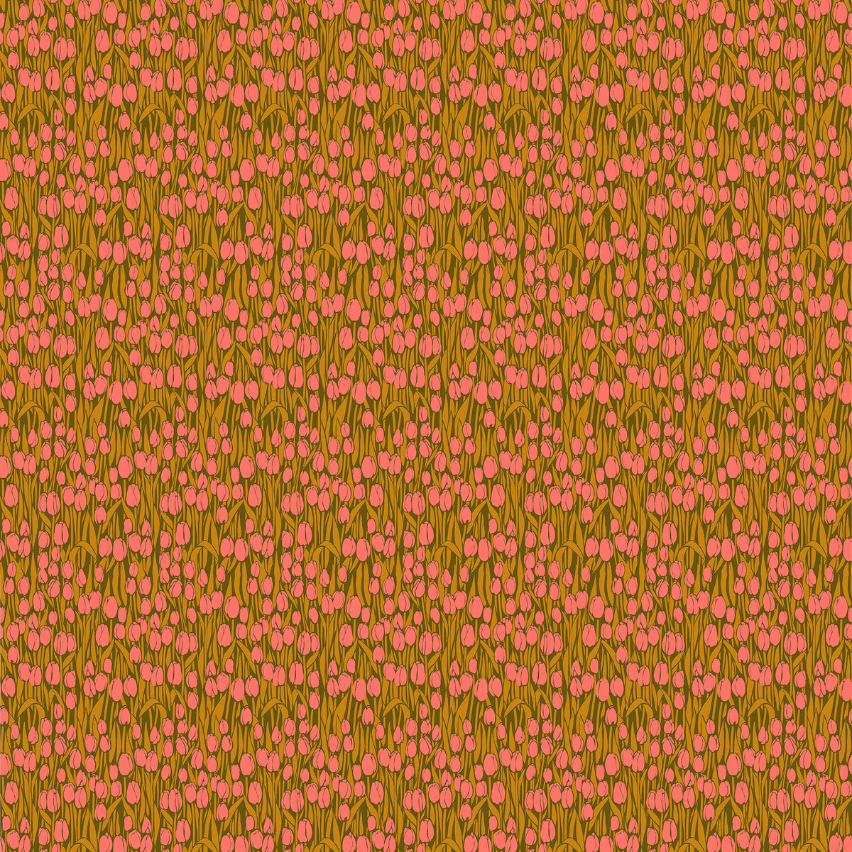 Clean Cut Cotton Audience in Toffee