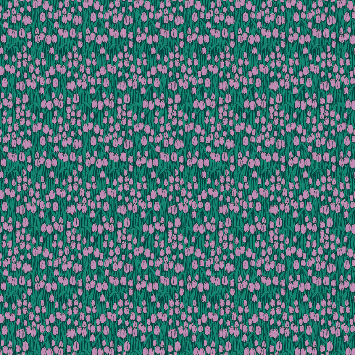 Clean Cut Cotton Audience in Lapis