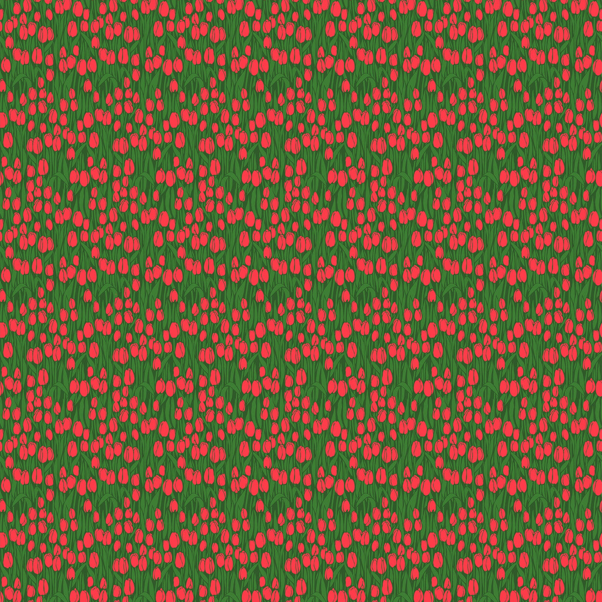 Clean Cut Cotton Audience in Red