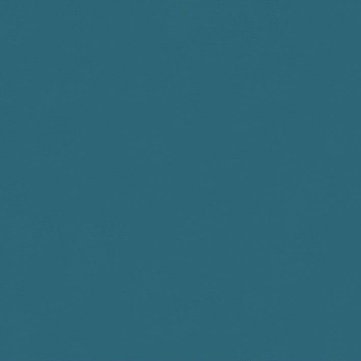 Bella Cotton Solids