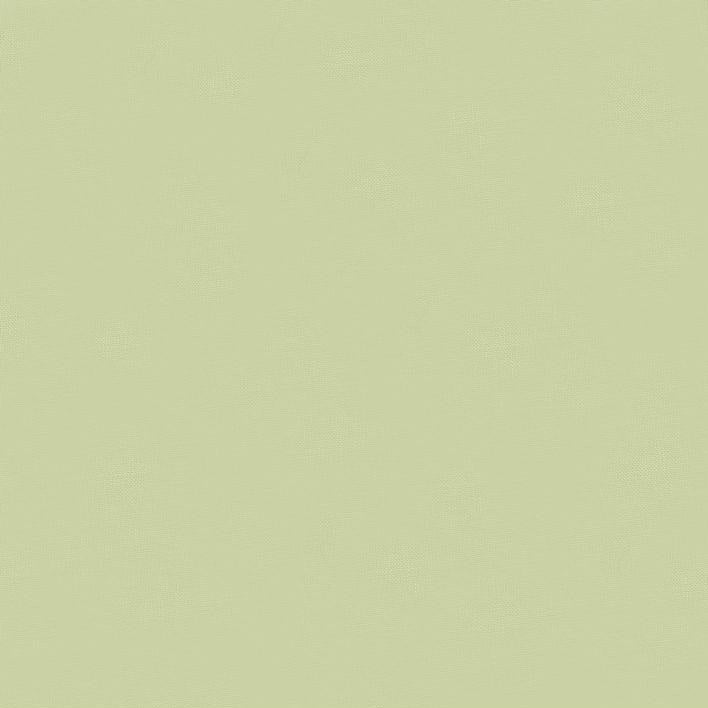 Bella Cotton Solids
