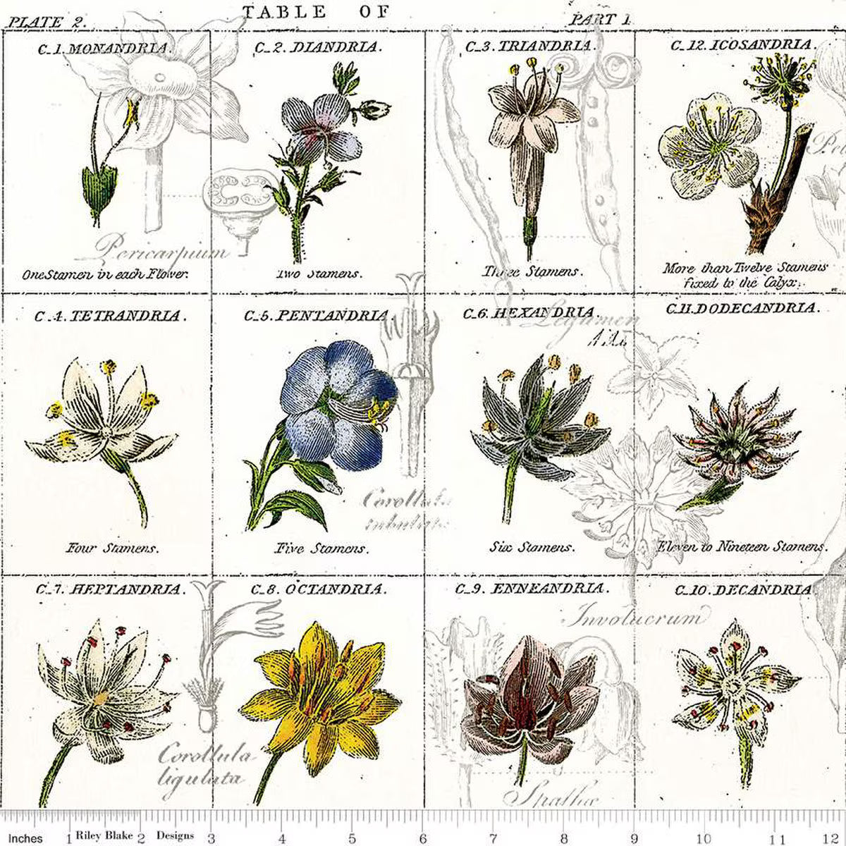 Sewing Seeds III Flower Classes / White