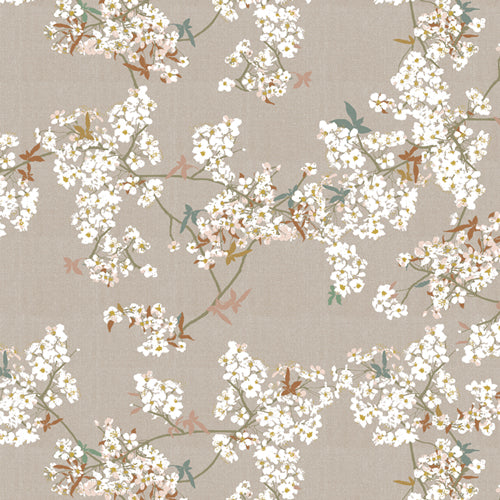 Skye Sakura Sprout