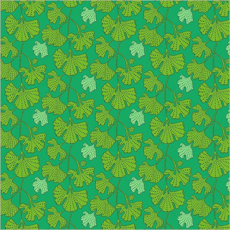 Sunshine Ginkgo - Kelly
