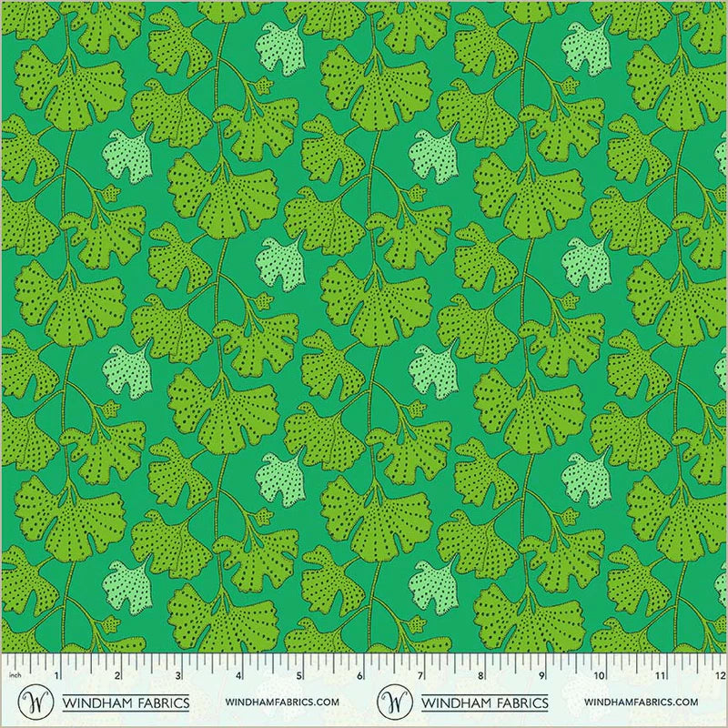 Sunshine Ginkgo - Kelly