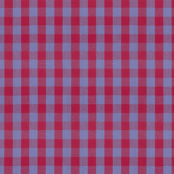 Red and blue checkered pattern