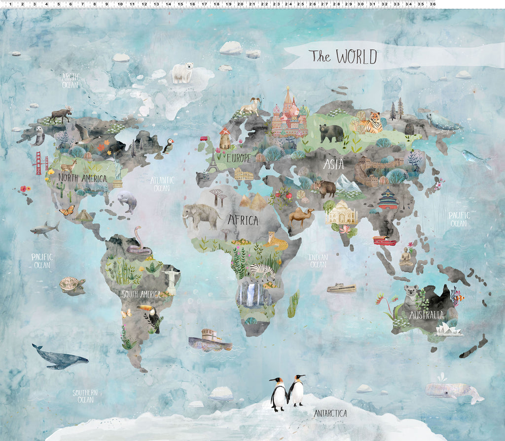 Our World World Map Panel