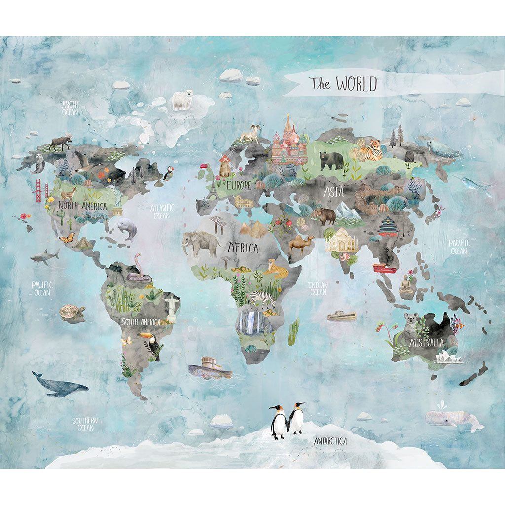 Our World World Map Panel