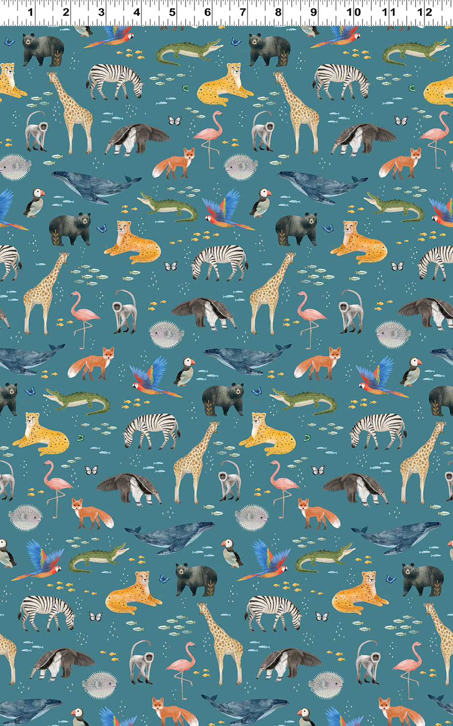 Our World Animals Dark Sky