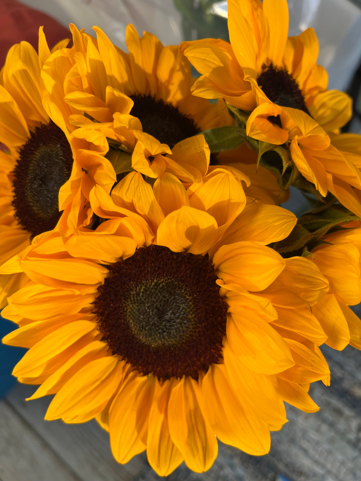 Craft Lab: Botanical Printing Workshop Fall Edition