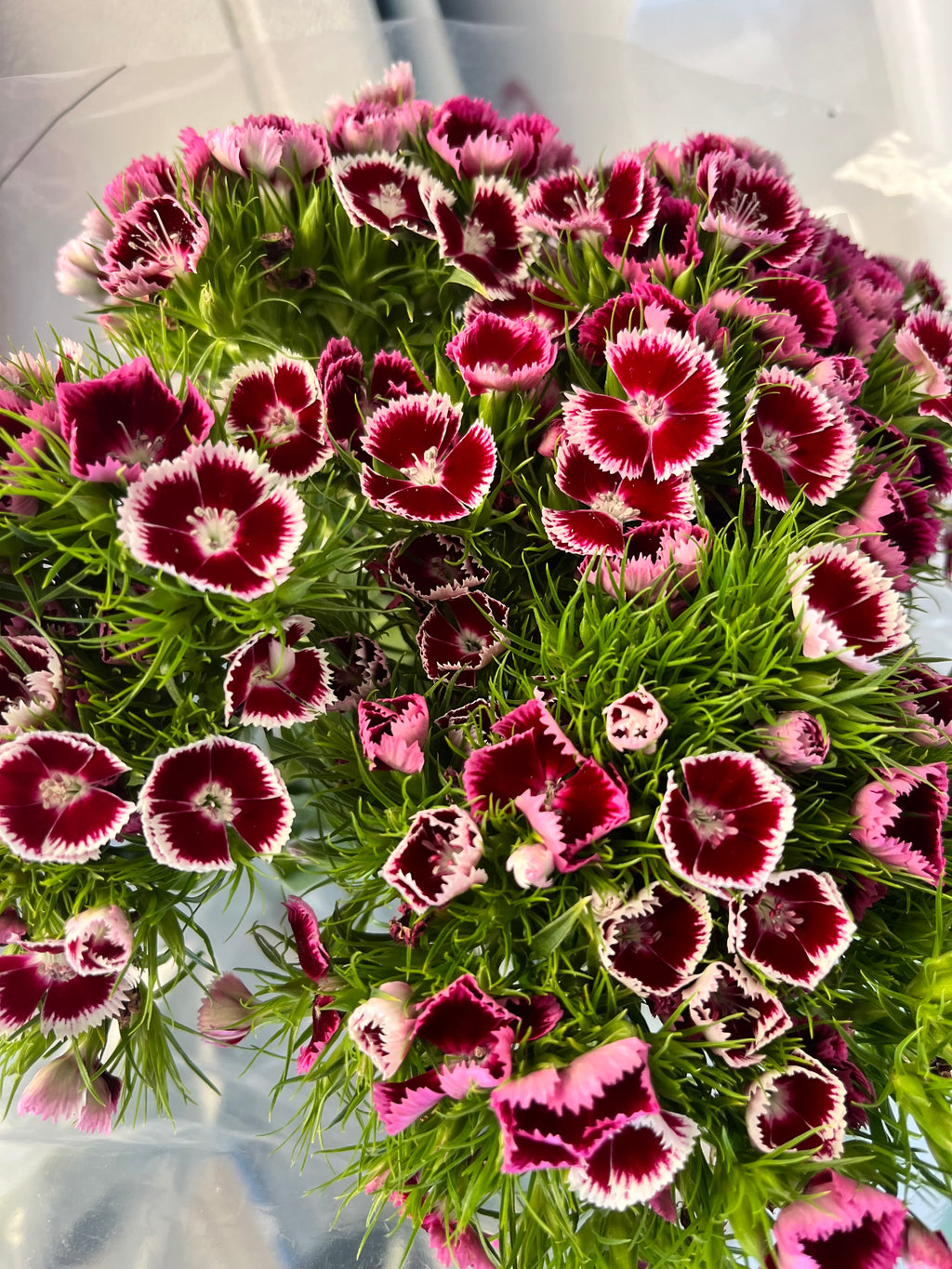 Craft Lab: Botanical Printing Workshop Fall Edition